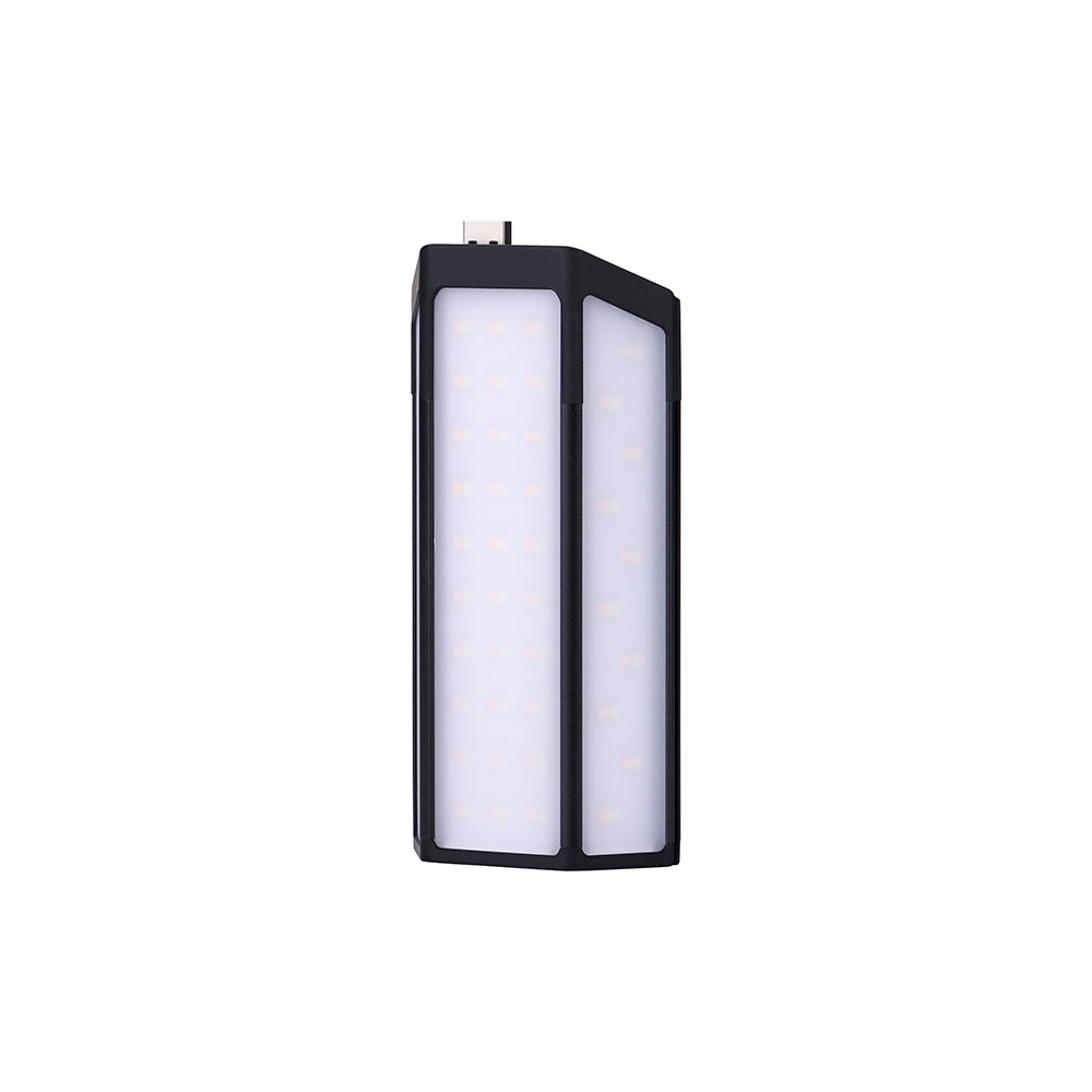 3FACE PRO WING
